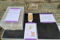 Was fressen Hühner?