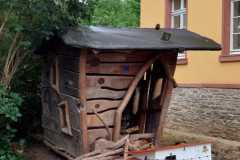 Die Hühner sind da!