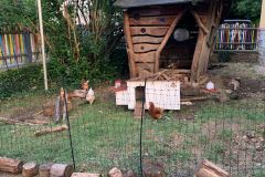 Die Hühner sind da!